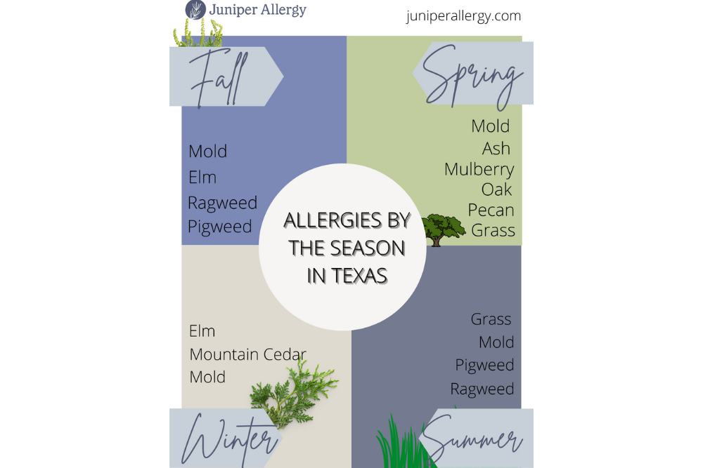 San Antonio Ranked Among Top Worst Cities for Seasonal Allergies