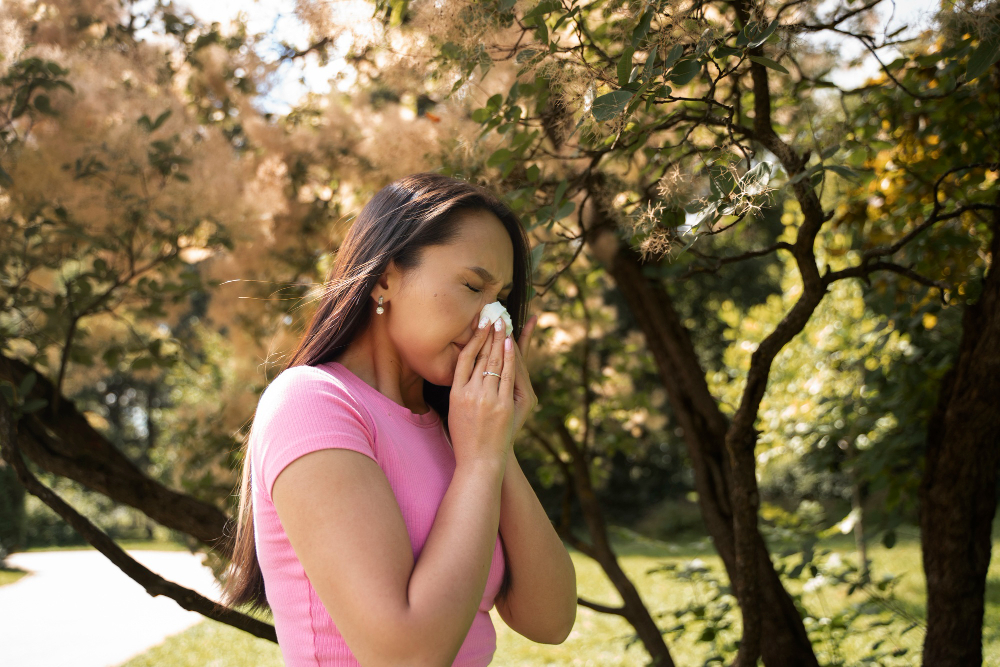 Oak Allergies