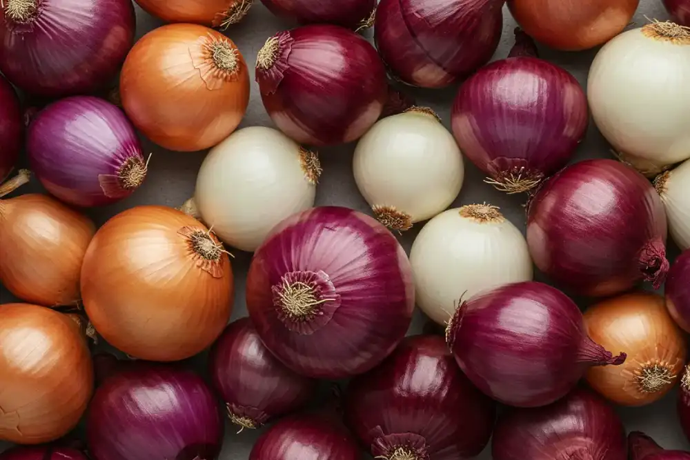 Allergic To Onions
