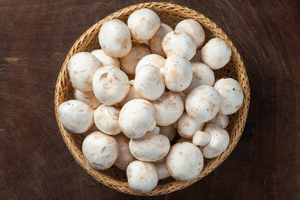 Can You Be Allergic To Mushrooms​
